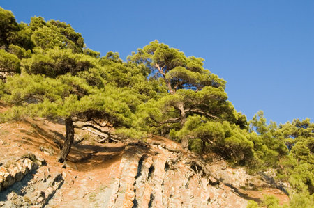 Sea coast on Black seaの写真素材