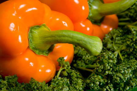 Two red peppers and parsley.の写真素材