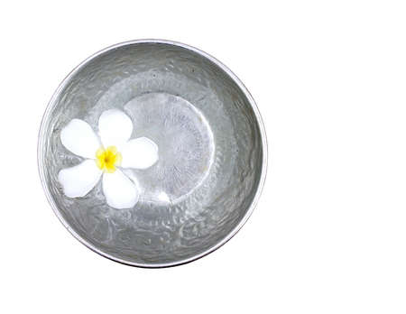 white flower floating in silver bowl isolated on white background, for Songkran festival in Thailandの写真素材