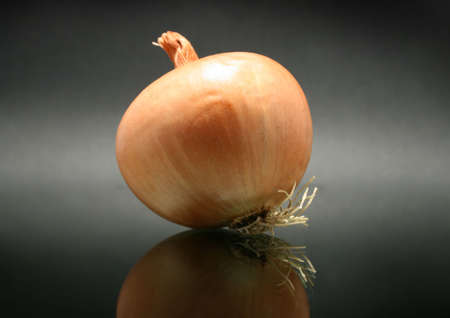 Onion isolated on black backgroundの写真素材