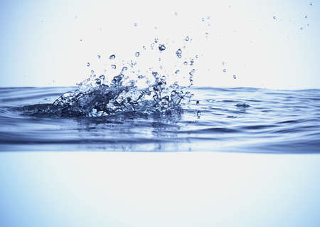 Water dropsの写真素材