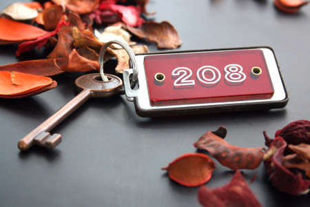 Hotel key with red key holder surrounded by red dry flowers の写真素材