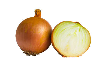 Onion vegetables isolated on white background.の写真素材