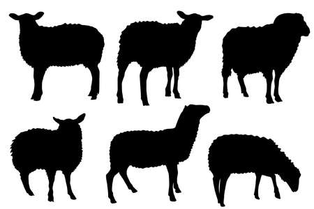 Sheep lamb silhouette vector set for multipurpose use like back ground, wallpaper, pattern, sticker, peeler and more.のイラスト素材