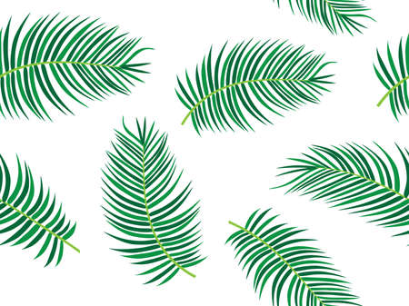 Palm tree leaf vectorのイラスト素材