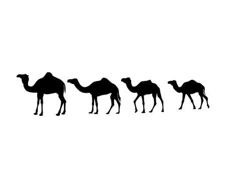 camel silhouette vector icon logo design set templateのイラスト素材
