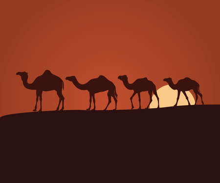 camel shepherd in the sunset desert landscape vector background illustration themeのイラスト素材