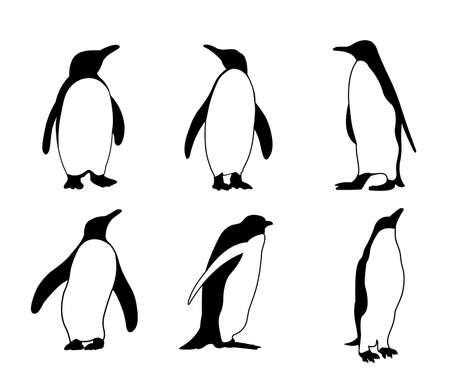 cute penguin silhouette vector design illustrationのイラスト素材