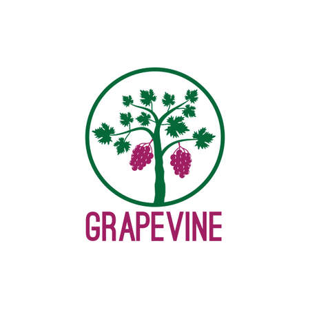 grape vine fruit plant inside circle vector logo design illustration templateのイラスト素材