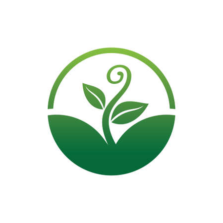 growing sprout plant with curly shape for green agriculture botany and biology science research vector logo design templateのイラスト素材