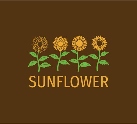 simple sunflower plant line up vector illustration design template in brown backgroundのイラスト素材
