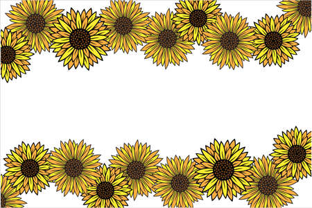 yellow sun flower vector background with empty space in the middle templateのイラスト素材