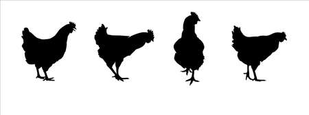 Hen silhouettes vector set. Chicken farm illustrationのイラスト素材