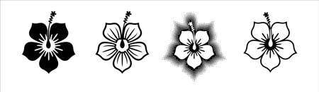 Hibiscus flower silhouette vector set. Hibiscus flower vector illustration set.のイラスト素材