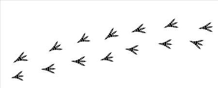 Tyrannosaurus rex foot print trail. T-rex foot print symbol. Dinosaur T-rex footprint stamp track template. Vector stock illustrationのイラスト素材