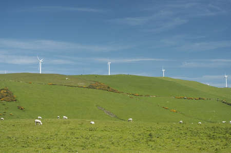 Wind farm in Welsh countryside.の写真素材