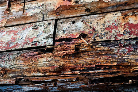 Rotting Wood Textureの写真素材