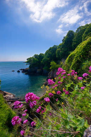 Looking towards the Dartmouth Cliffsの写真素材