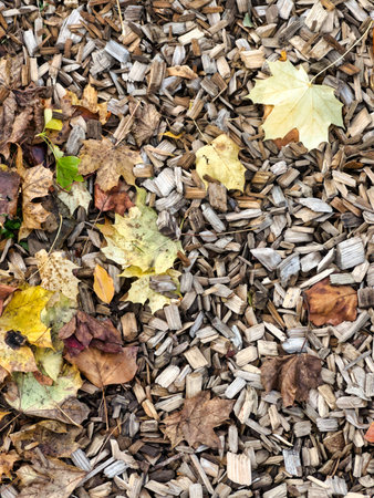 An overhead view reveals a dense covering of wood chips on the ground, interspersed with colorful...