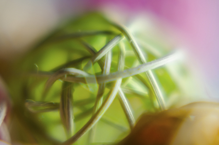 blurred abstraction of the rope macro. Colorful rubber bands on color backgroundの写真素材