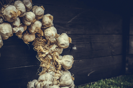 Garlic hanging on an old wooden fence.の写真素材