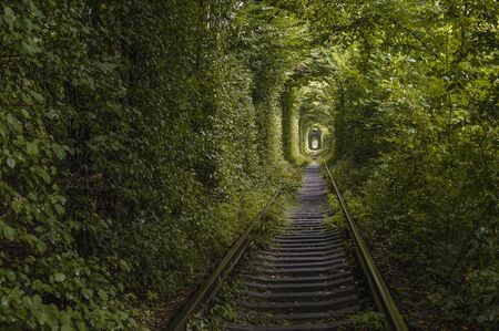 railway in tunnel of green leaves. romantic and mysterious tunnel of love in Ukraine. unexpected, unusual viewの写真素材
