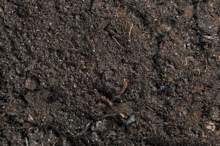 Dirt, imprints in the ground.の写真素材