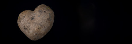 heart shaped potato on black backgroundの写真素材
