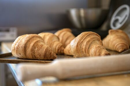 Fresh croissants removed from the ovenの写真素材