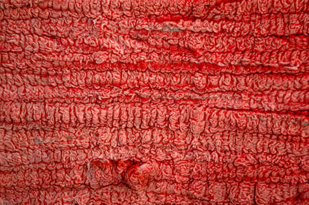 Texture of red oriental woolen carpet. Carpet texture. Rug surface close upの写真素材