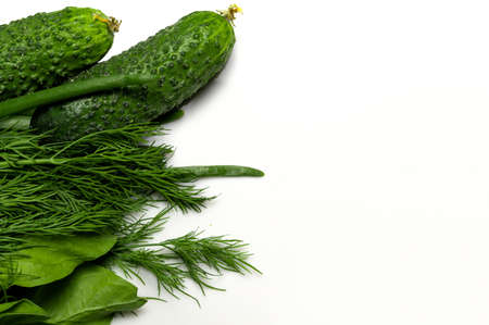 Delivery or purchase of health food products. Green food, vegetables, fruits, herbs. food conceptの写真素材