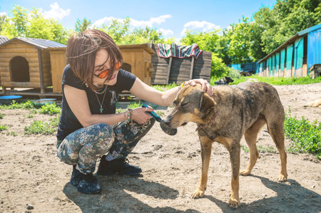 Dog at the shelter. Animal shelter volunteer feeding the dogs. Lonely dogs in cage with cheerful woman volunteerの写真素材