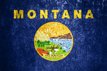 Close-up of the Montana grunge flag. Dirty Montana state flag on a metal surface.の写真素材