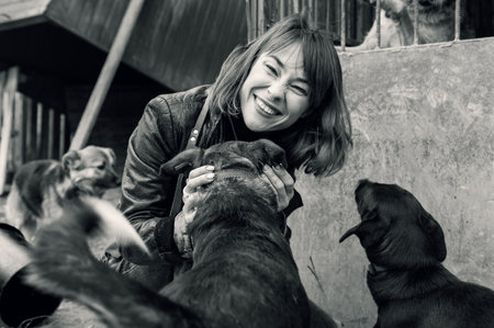 Dog in a shelter. An animal shelter volunteer takes care of dogs. A volunteer takes care of a dog at a shelter. Black white imageの写真素材