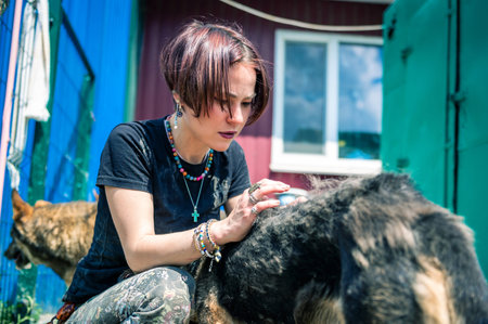 Dog at the shelter. Animal shelter volunteer takes care of dogs. Lonely dogs in cage with cheerful...