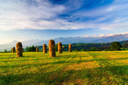 Haymaking in the ZÄb village in Podhale. Haystacks lit by the morning light. In the distance you can see the Tatras mountain range.の写真素材