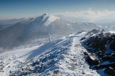 Winter in the Bieszczady National Park. View from Meadow WetliÅska to Meadow CaryÅska. Snowy tree trunks.の写真素材