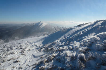 Winter in the Bieszczady National Park. View from Meadow WetliÅska to Meadow CaryÅska. Snowy tree trunks.の写真素材