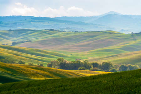 Spring Tuscany. View of the green fields lit by the rays of the sun.の写真素材
