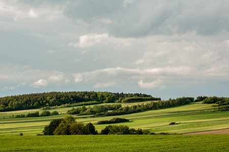field and blue skyの写真素材