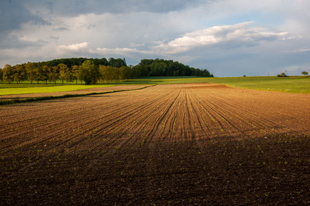 plowed field and skyの写真素材