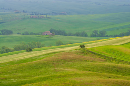 view of the green hills of Tuscany, Val D'orcia valley.の写真素材