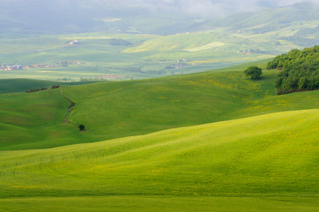 view of the green hills of Tuscany, Val D'orcia valley.の写真素材
