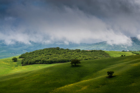 view of the green hills of Tuscany, Val D'orcia valley.の写真素材