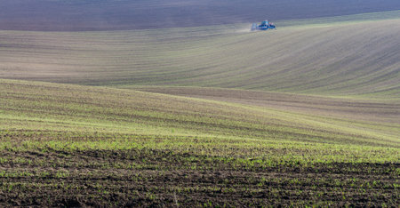 plowed hills in moraviaの写真素材