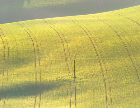 green hills in moraviaの写真素材