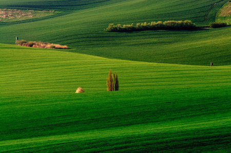 green hills in moraviaの写真素材