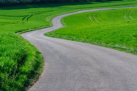 road winding among the green hills of moraviaの写真素材
