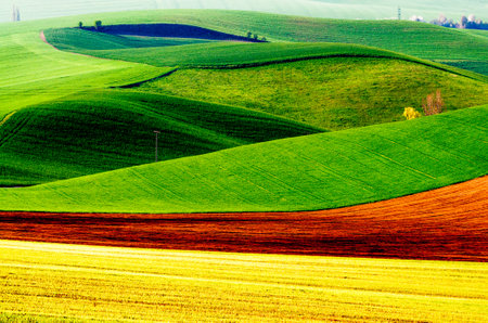 green hills in moraviaの写真素材