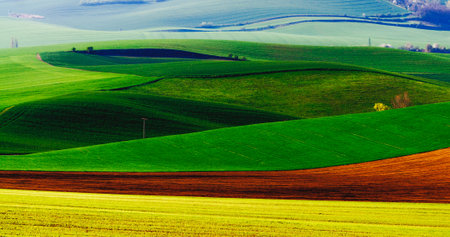green hills in moraviaの写真素材